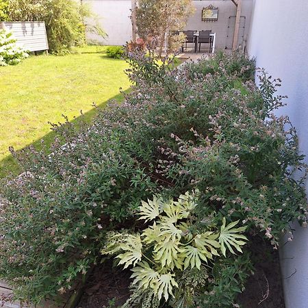 Planchesdisa Villa Saint-Pair-sur-Mer Kültér fotó