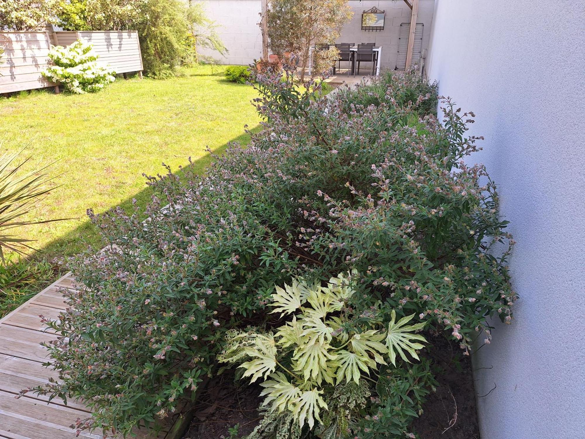 Planchesdisa Villa Saint-Pair-sur-Mer Kültér fotó